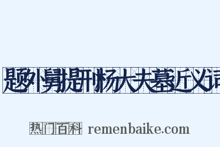 题外舅提刑杨大夫墓近义词是什么意思的图片